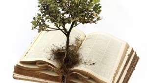 Grow-bible_tree