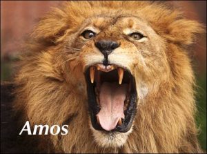 amos-header-photo-500x372